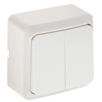Выключатель Luazon Lighting "СПБ", 10 А, 2 клавиши, белый