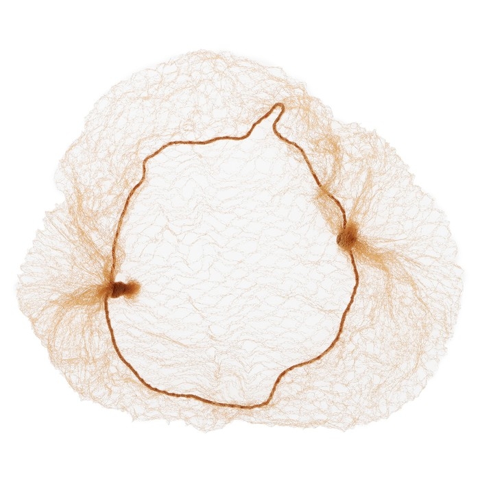 Сетка для волос Grace Dance, паутинка, 30 см, цвет кофейный Сетка для волос Grace Dance, паутинка, 30 см, цвет кофейный