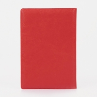 Обложка для автодокументов, цвет красный