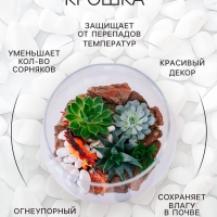 Мраморная крошка "Рецепты Дедушки Никиты", отборная, белая, фр 2,5-5 мм , 2 кг