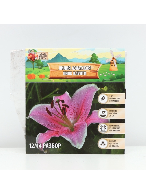 Лилия Азиатская Pink County, луковица в пакете с перфорацией, р-р 12/14, 3 шт.