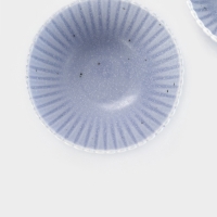 Салатники Доляна «Коралл», d=16.1 см, набор 2 шт., керамика, голубые Салатники Доляна «Коралл», d=16.1 см, набор 2 шт., керамика, голубые