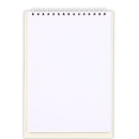 Набор: блокнот А5, 60 л. и ручка "В этот весенний день"