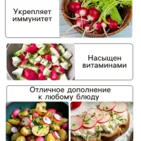 Семена Редис "Ранний красный", 2 г