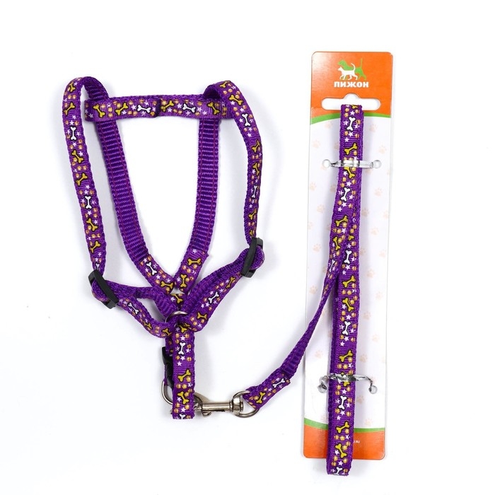 Комплект Комплект "Звёздные косточки", ширина 1 см, поводок 120 см, шлейка 23-35 см, фиолетовый