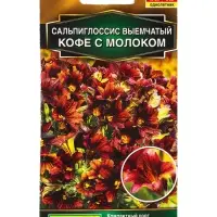Семена цветов Сальпиглоссис Кофе с молоком  (драже в пробирке) Золотая серия, Ц/П,7 шт.