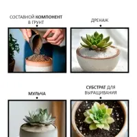 Речной песок &laquo;Рецепты дедушки Никиты&raquo;, сухой, фр 0.8-1.6, 0.5 кг