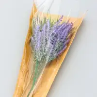 Конус для цветов, крафт с пленкой, 28&times;9&times;44cm, крафтовый