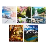 Тетрадь 48 листов в клетку Calligrata &laquo;Пейзаж&raquo;, обложка мелованный картон, блок №2, белизна 75% (серые листы), МИКС