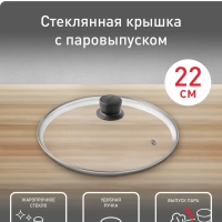 Стеклянная крышка Cocoon 04197722, 22 см
