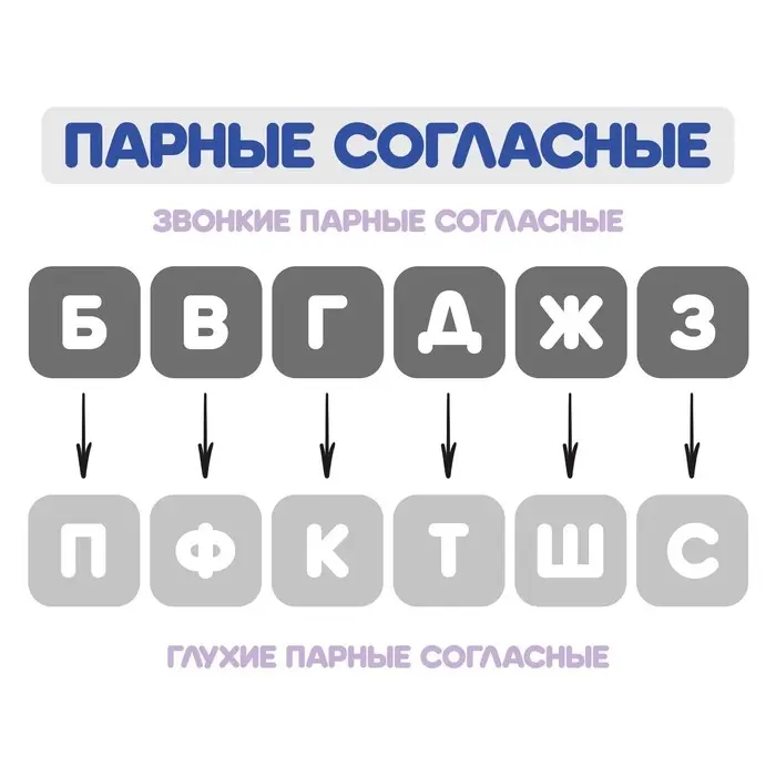 Веер-касса, парные согласные буквы, Calligrata, пакет с европодвесом