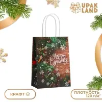 Пакет бумажный подарочный новогодний крафт &laquo;Чудеса&raquo; 15&times;21&times;8 см