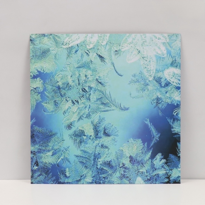 Фотофон двусторонний картон плотность 350 гр Фотофон двусторонний картон плотность 350 гр "Морозный узор и апельсины" 50х50 см