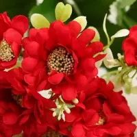 Букет "Хризантема балтика" 5х28 см, микс