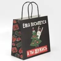 Пакет подарочный новогодний &laquo;А ты держись&raquo;, 22 х 22 х 11 см