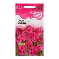 Семена Армерия "Валерия" (приморская),  ц/п,0,02 г,