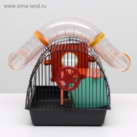 Клетка для грызунов "Саквояж", малая, с лабиринтом, 40 х 25 х 21 см, микс цветов Клетка для грызунов "Саквояж", малая, с лабиринтом, 40 х 25 х 21 см, микс цветов