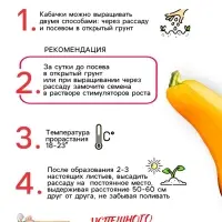 Семена Кабачок цуккини "Желтоплодный", 1 г