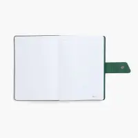 Ежедневник Boom, недатированный, черный с зеленым