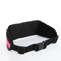 Поясная сумка на молнии, 3 отдела, цвет розовый Поясная сумка на молнии, 3 отдела, цвет розовый