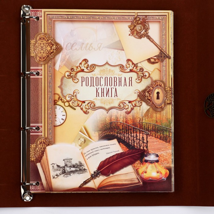 Родословная книга &laquo;Наш род&raquo;, 56 листов, коричневый, 35 х 23,5 см