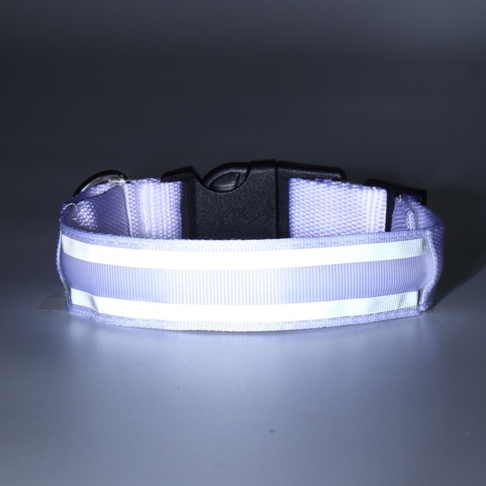 Ошейник с подсветкой Двойная полоса размер S, ОШ 35-43 х 2,5 см, 3 режима свечения белый
