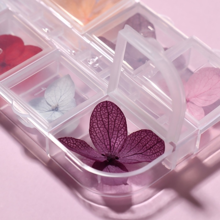 Сухоцветы для декора ногтей «Нежность», объёмные, 12 видов, в футляре, разноцветные Сухоцветы для декора ногтей «Нежность», объёмные, 12 видов, в футляре, разноцветные