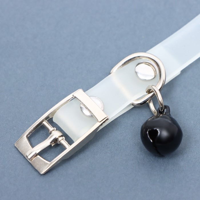 Ошейник, светящийся в темноте, Ошейник, светящийся в темноте, "Нежные сердца" (люминесцентный), 30 х 1 см, ОШ 19-26 см, микс