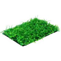 Декоративная панель, 60 × 40 см, «Самшит, Папоротник», Greengo Декоративная панель, 60 × 40 см, «Самшит, Папоротник», Greengo