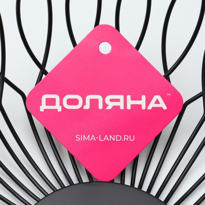 Фруктовница Доляна &laquo;Маргаритка&raquo;, 27&times;27&times;9 см, цвет чёрный