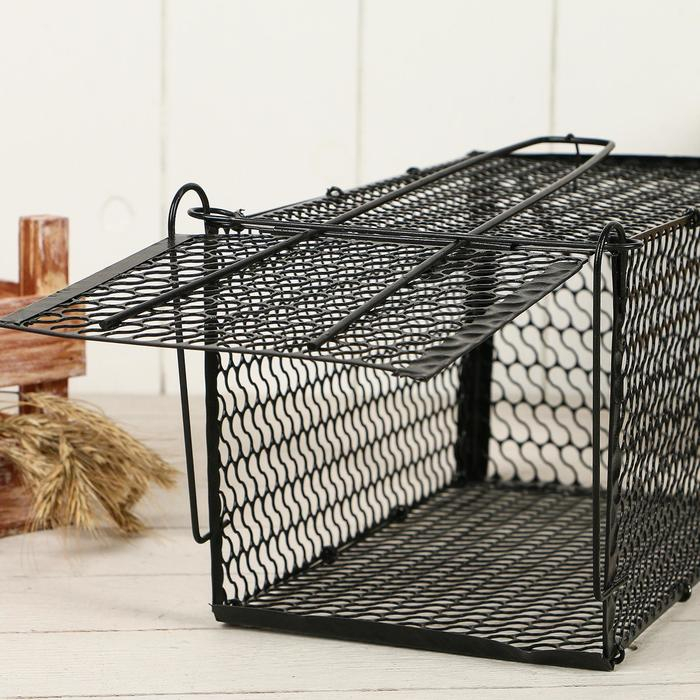 Крысоловка, 27 × 14 × 14 см, металлическая, Greengo Крысоловка, 27 × 14 × 14 см, металлическая, Greengo