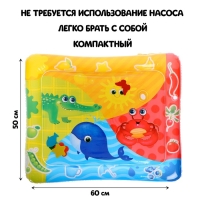 Акваковрик развивающий &laquo;Изучаем цвета&raquo;