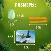 Набор для раскопок &laquo;Эпоха динозавров&raquo;
