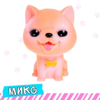 Питомец &laquo;Любимый&raquo;, МИКС