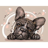 Картина по номерам на картоне &laquo;Французский бульдог&raquo;, 30 &times; 40 см, с акриловыми красками и кистями