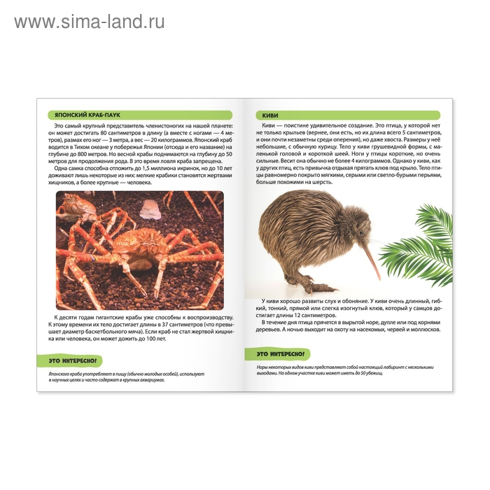 Мини-энциклопедии «Мир животных», набор 6 шт. по 20 стр. Мини-энциклопедии «Мир животных», набор 6 шт. по 20 стр.