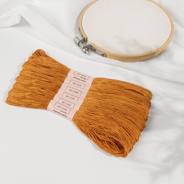 Набор ниток мулине №976, 8 ± 1 м, 6 шт, цвет золотисто-коричневый Набор ниток мулине №976, 8 ± 1 м, 6 шт, цвет золотисто-коричневый