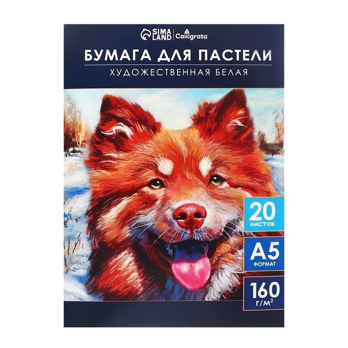 Бумага для пастели А5, 20 листов Бумага для пастели А5, 20 листов "Собака", блок 160 г/м2, в папке