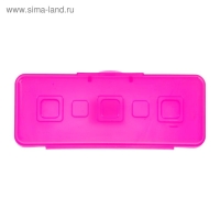 Пенал-футляр Calligrata "Школьный", 80 х 205 х 38 мм, полупрозрачный. пластиковый, микс