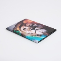 Обложка для паспорта, цвет разноцветный