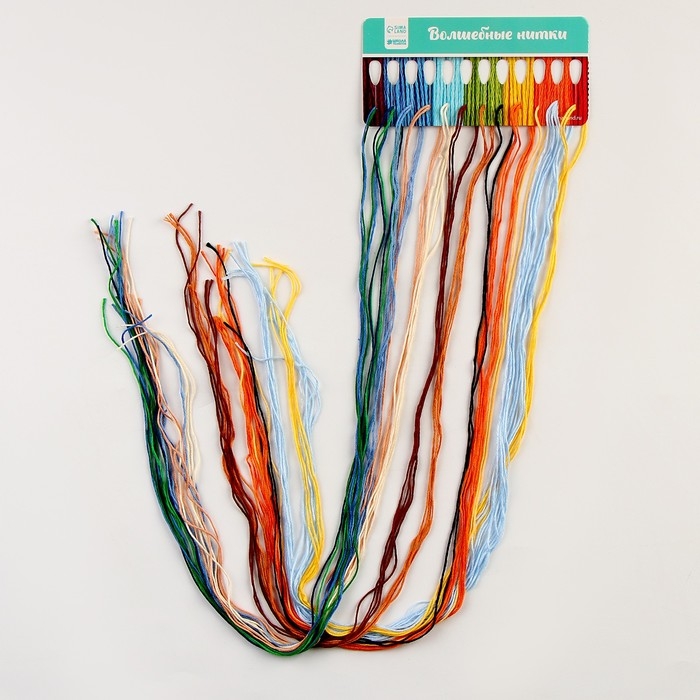 Вышивка крестиком на пластиковой канве &laquo;Великий художник&raquo;, набор для творчества