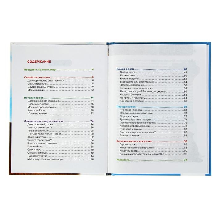 Детская энциклопедия &laquo;Кошки&raquo;