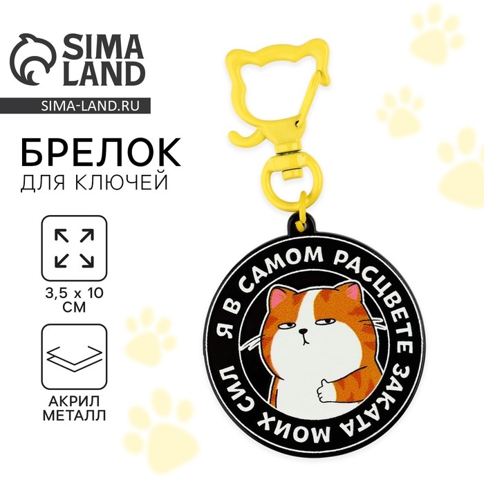 Брелок для ключей детский &laquo;Я в самом расцвете&raquo;, 3,5 х 10 см