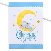 Папка для свидетельства о рождении &laquo;Наш малыш&raquo;, А4.