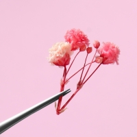 Сухоцветы для декора ногтей &laquo;Ассорти&raquo;, объёмные, 12 видов, в футляре, разноцветные