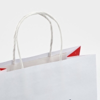 Пакет подарочный новогодний &laquo;Ты тоже не подарок&raquo;, 22 х 22 х 11 см