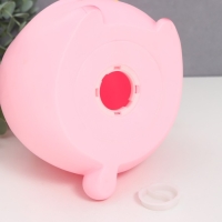 Копилка пластик "Зайчик - пухляш с сердцем/цветком" МИКС 16х15,5х23 см Копилка пластик "Зайчик - пухляш с сердцем/цветком" МИКС 16х15,5х23 см