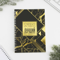 Ежедневник, зарядное устройство, мод.РВ-01, &laquo;Ты - настояящий мужчина&raquo;, 22,7 х 24,5 см.