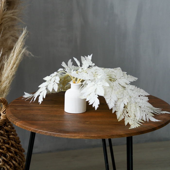 Сухоцвет &laquo;Папоротник&raquo;, белый, 10 шт. в упаковке