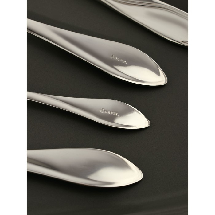 Набор столовых приборов &laquo;Волна&raquo;, 24 предмета, картонная коробка с окном, цвет серебряный